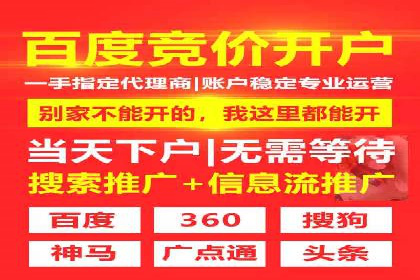 成功sem公司的策略与执行